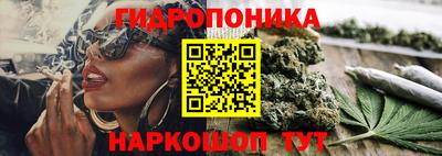 мдпв Можга